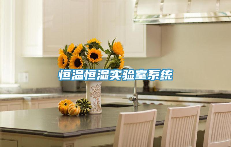 恒溫恒濕實(shí)驗室系統