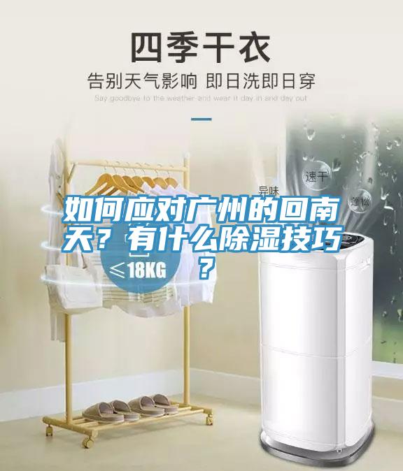 如何應對廣州的回南天？有什么除濕技巧？