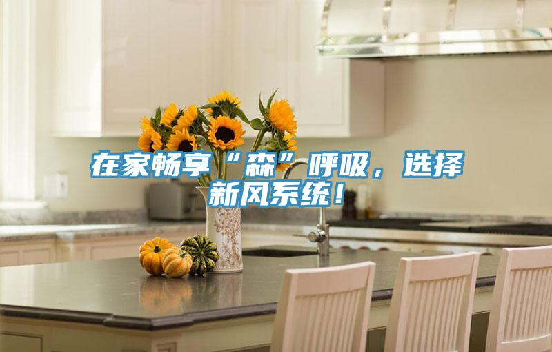 在家暢享“森”呼吸，選擇新風(fēng)系統！
