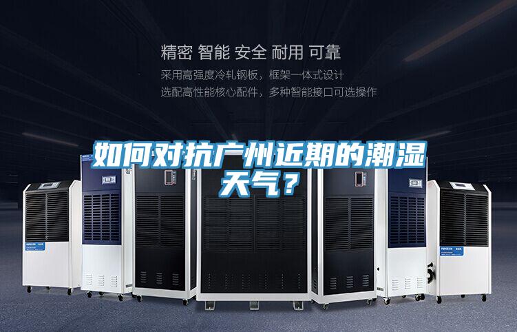 如何對抗廣州近期的潮濕天氣？