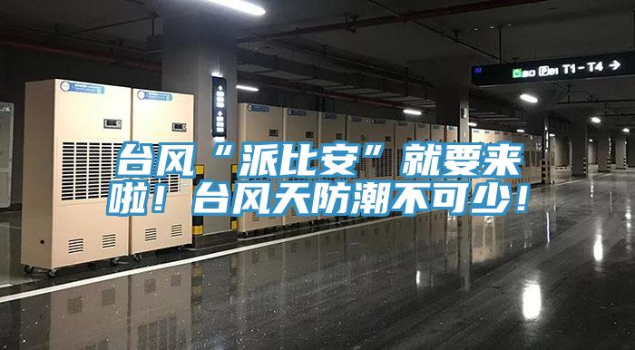 臺風(fēng)“派比安”就要來(lái)啦！臺風(fēng)天防潮不可少！