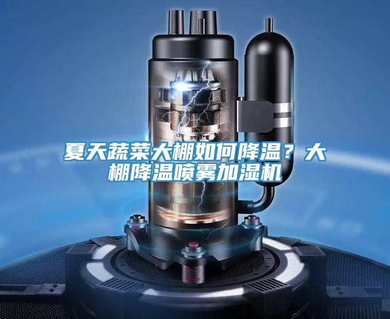 夏天蔬菜大棚如何降溫？大棚降溫噴霧加濕機