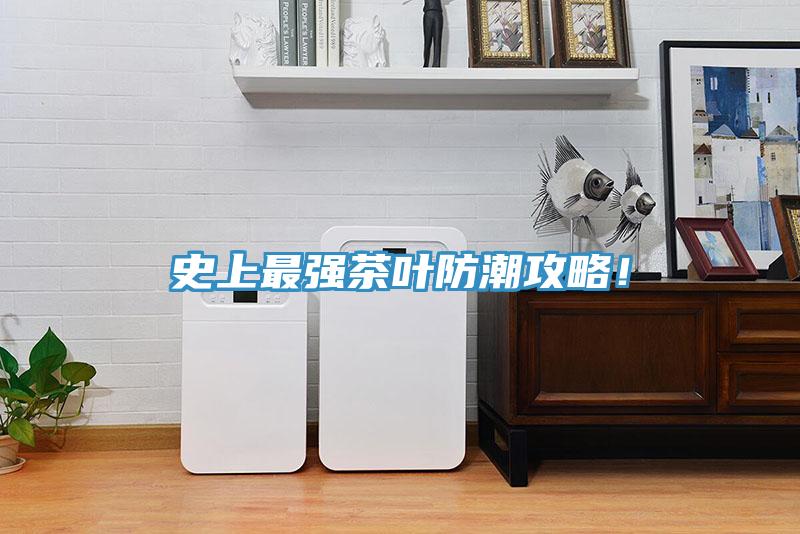 史上最強茶葉防潮攻略！