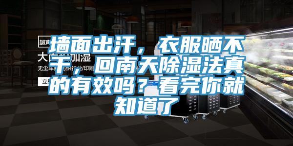 墻面出汗，衣服曬不干，回南天除濕法真的有效嗎？看完你就知道了