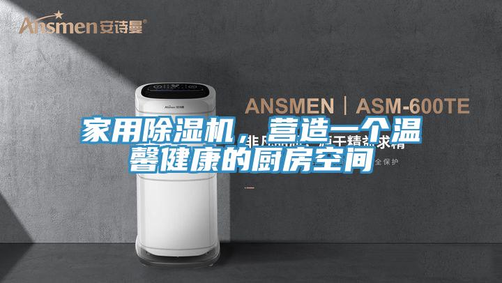 家用除濕機，營(yíng)造一個(gè)溫馨健康的廚房空間