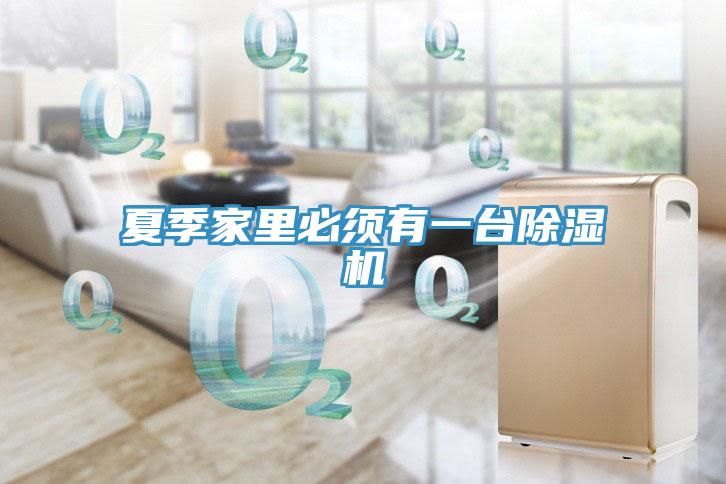 夏季家里必須有一臺除濕機