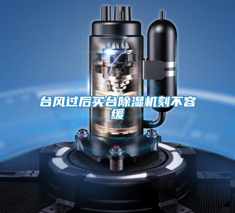 臺風(fēng)過(guò)后買(mǎi)臺除濕機刻不容緩