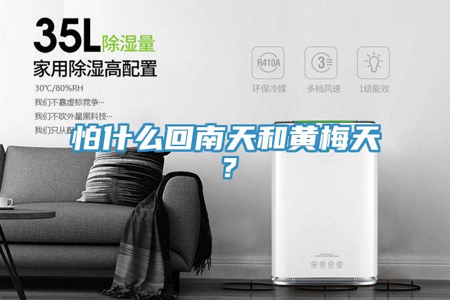 怕什么回南天和黃梅天？