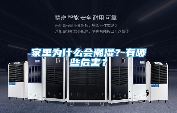 家里為什么會(huì )潮濕？有哪些危害？
