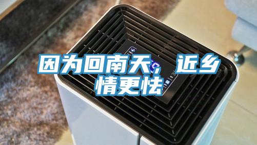 因為回南天，近鄉情更怯