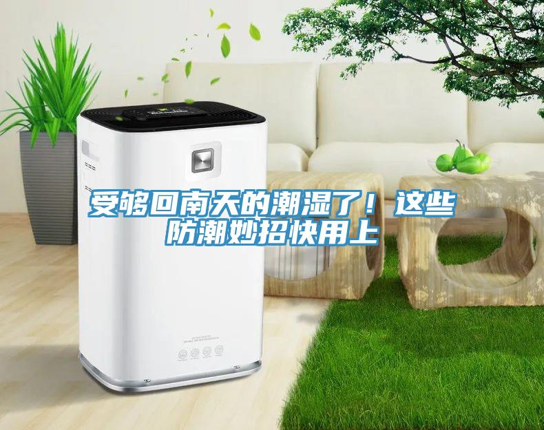 受夠回南天的潮濕了！這些防潮妙招快用上