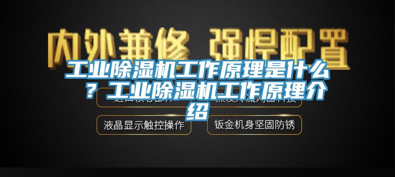 工業(yè)除濕機工作原理是什么 ？工業(yè)除濕機工作原理介紹