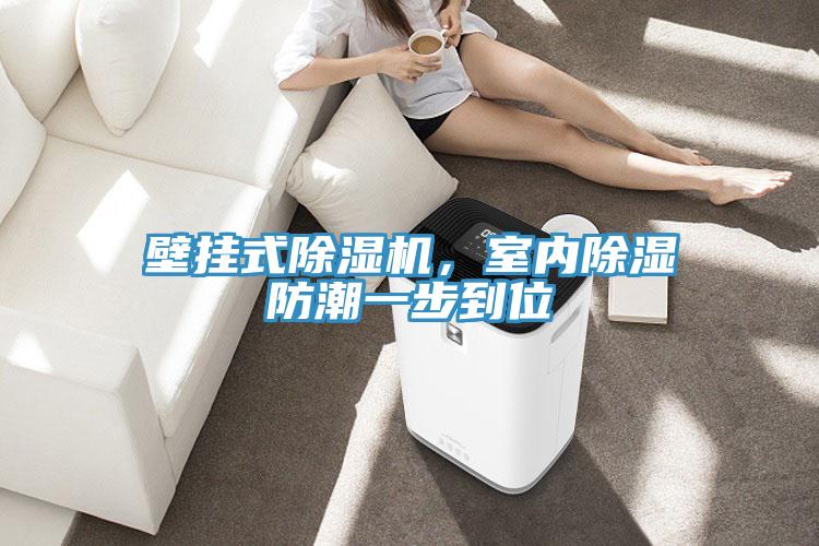壁掛式除濕機，室內除濕防潮一步到位