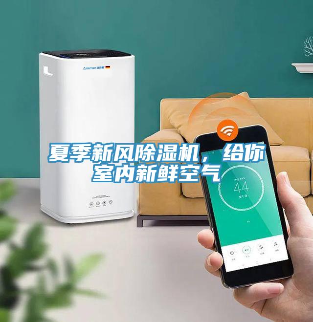 夏季新風(fēng)除濕機，給你室內新鮮空氣