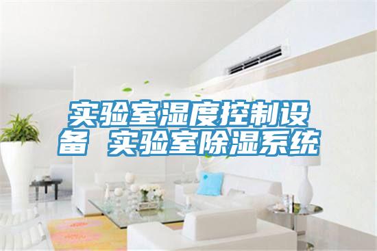 實(shí)驗室濕度控制設備 實(shí)驗室除濕系統