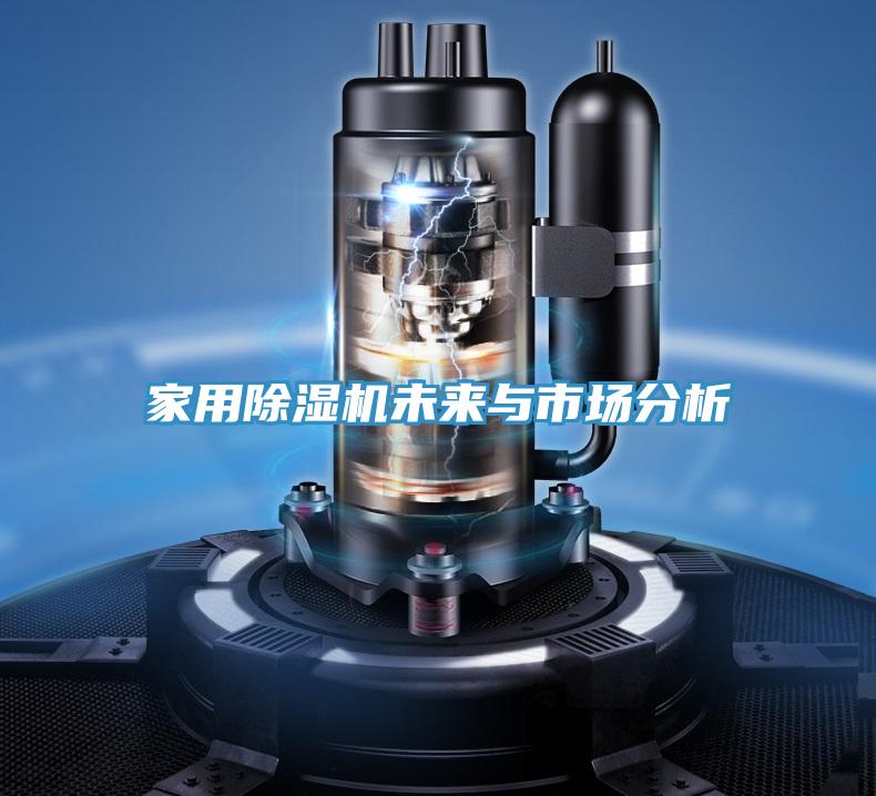家用除濕機未來(lái)與市場(chǎng)分析