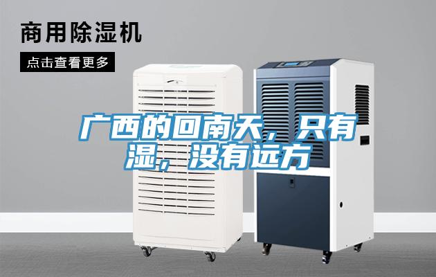 廣西的回南天，只有濕，沒(méi)有遠方