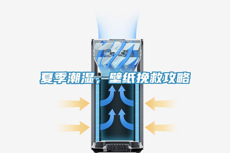 夏季潮濕，壁紙挽救攻略