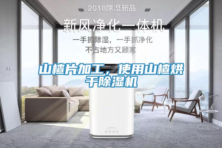 山楂片加工，使用山楂烘干除濕機