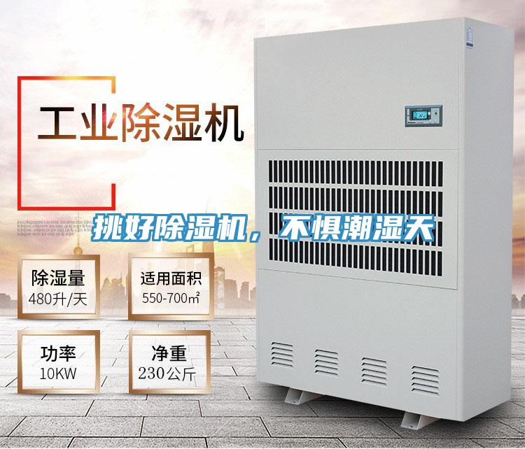 挑好除濕機，不懼潮濕天