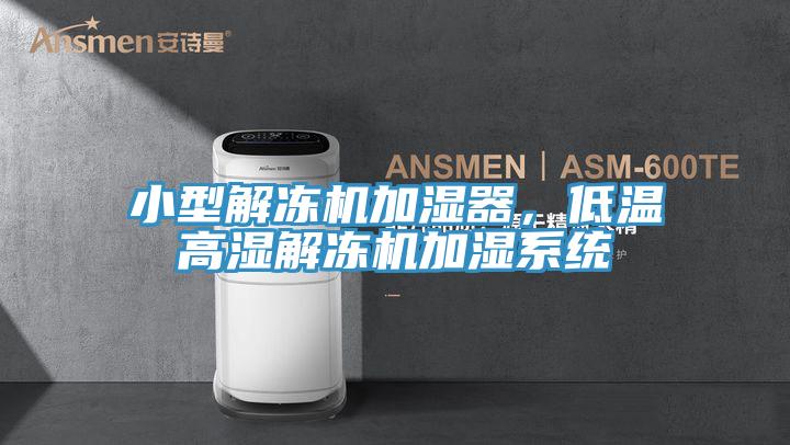 小型解凍機加濕器，低溫高濕解凍機加濕系統