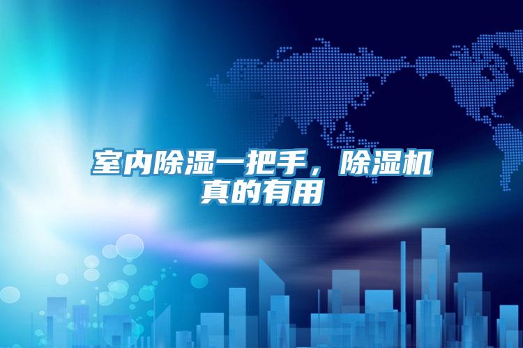 室內除濕一把手，除濕機真的有用