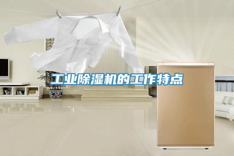 工業(yè)除濕機的工作特點(diǎn)