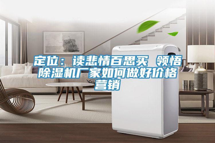 定位：讀悲情百思買(mǎi) 領(lǐng)悟除濕機廠(chǎng)家如何做好價(jià)格營(yíng)銷(xiāo)