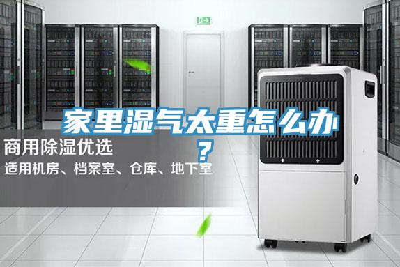 家里濕氣太重怎么辦？