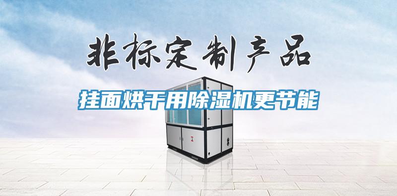 掛面烘干用除濕機更節能