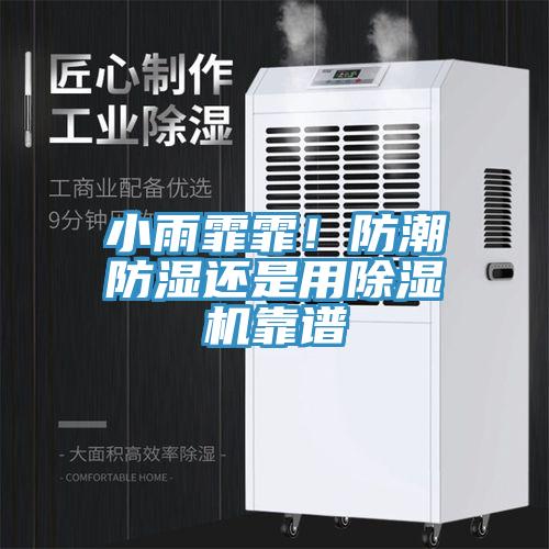 小雨霏霏！防潮防濕還是用除濕機靠譜