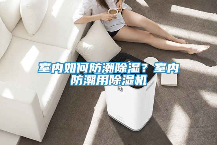 室內如何防潮除濕？室內防潮用除濕機