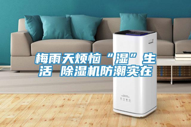 梅雨天煩惱“濕”生活 除濕機防潮實(shí)在
