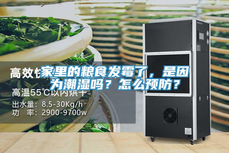 家里的糧食發(fā)霉了，是因為潮濕嗎？怎么預防？