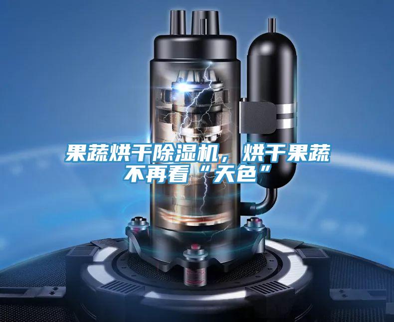 果蔬烘干除濕機，烘干果蔬不再看“天色”