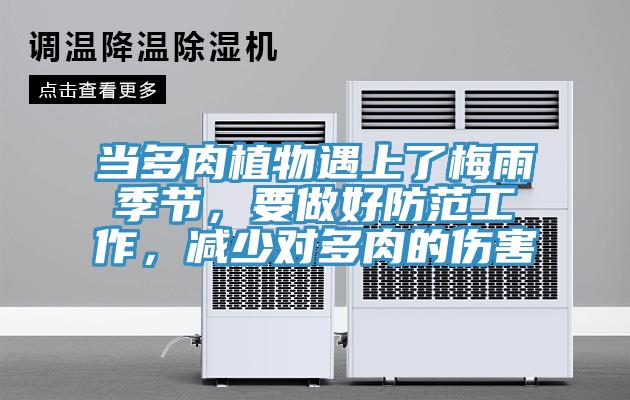 當多肉植物遇上了梅雨季節，要做好防范工作，減少對多肉的傷害