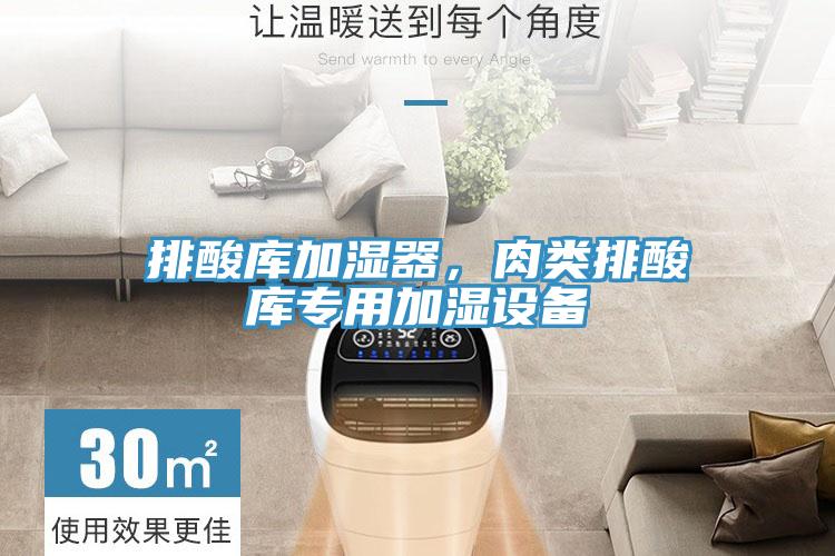 排酸庫加濕器，肉類(lèi)排酸庫專(zhuān)用加濕設備