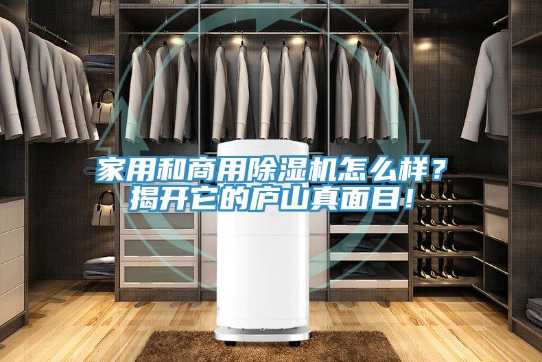 家用和商用除濕機怎么樣？揭開(kāi)它的廬山真面目！