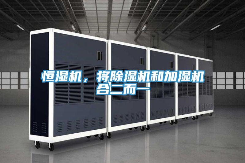 恒濕機，將除濕機和加濕機合二而一