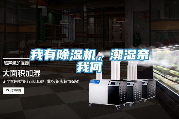 我有除濕機，潮濕奈我何