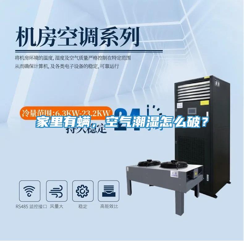 家里有螨，空氣潮濕怎么破？