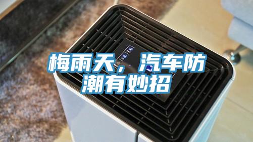 梅雨天，汽車(chē)防潮有妙招