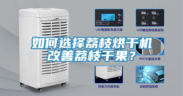 如何選擇荔枝烘干機改善荔枝干果？