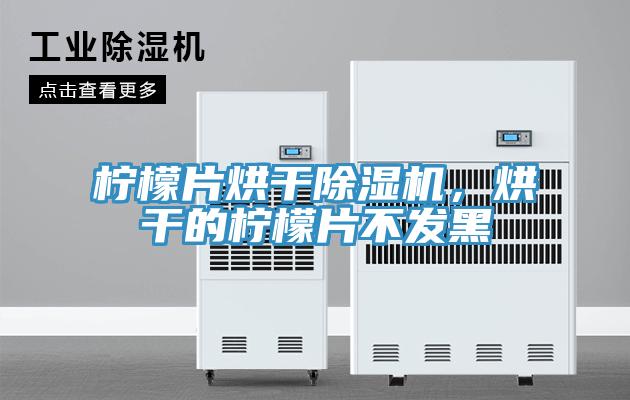 檸檬片烘干除濕機，烘干的檸檬片不發(fā)黑