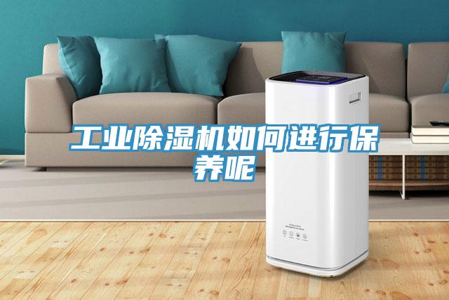 工業(yè)除濕機如何進(jìn)行保養呢