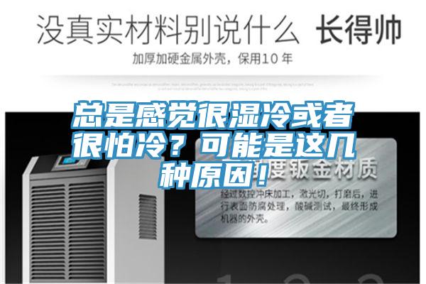 總是感覺(jué)很濕冷或者很怕冷？可能是這幾種原因！
