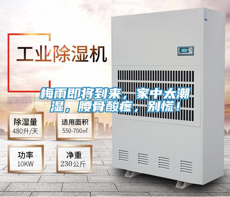 梅雨即將到來(lái)，家中太潮濕，腰骨酸疼，別慌！