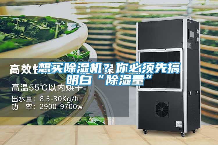 想買(mǎi)除濕機？你必須先搞明白“除濕量”