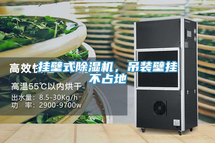 掛壁式除濕機，吊裝壁掛不占地