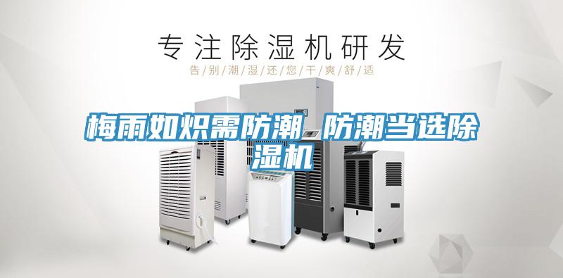 梅雨如熾需防潮 防潮當選除濕機